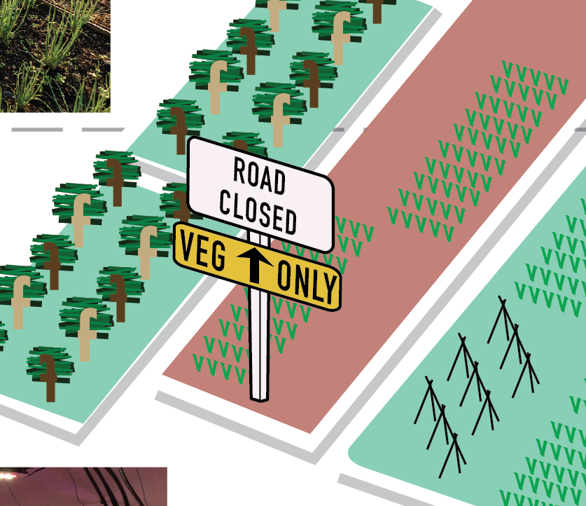 Random example picture